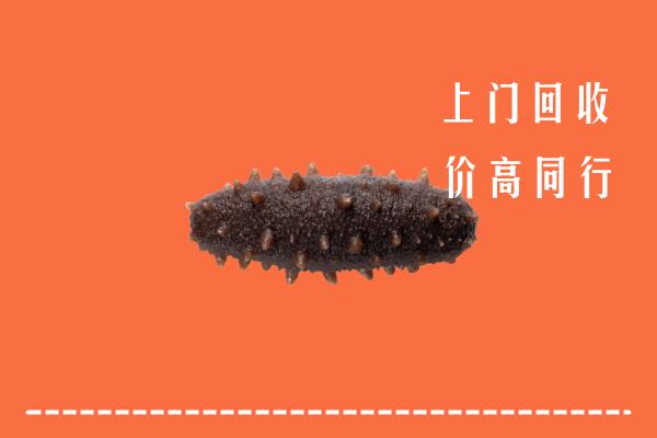 附近收购：白山回收海参