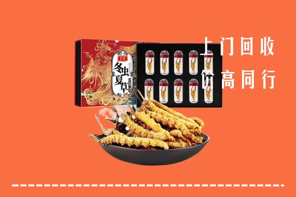 收购行情：白山回收虫草